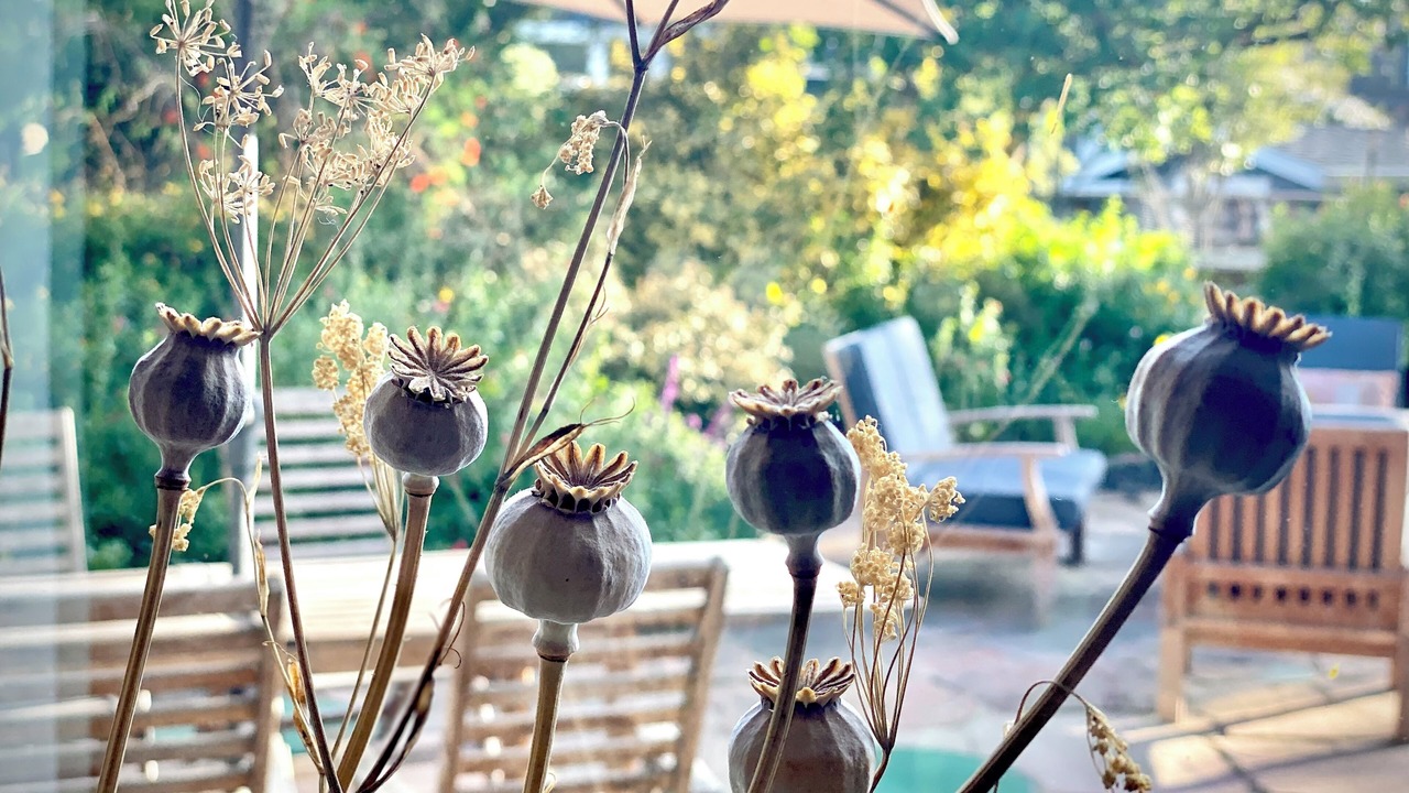 Photo of Others in Stinson Beach