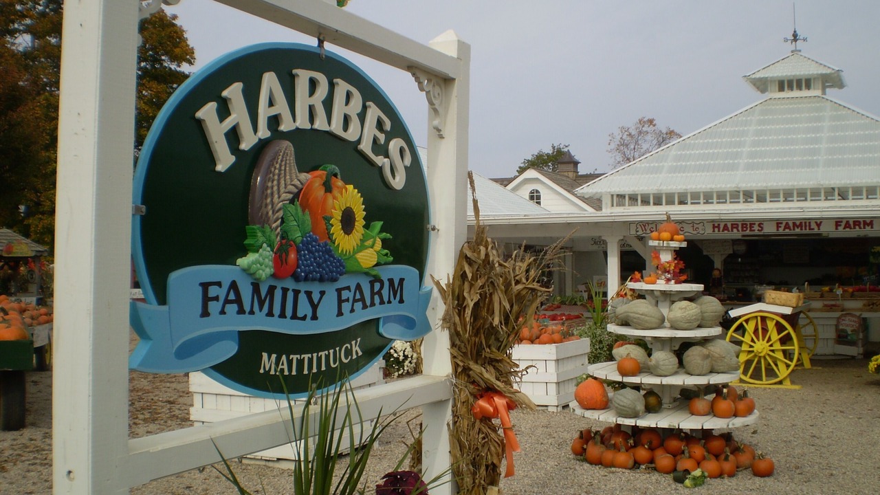 Photo of Others in Mattituck