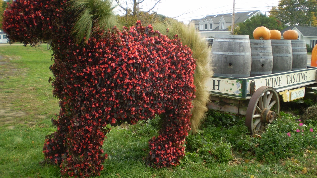 Photo of Others in Mattituck