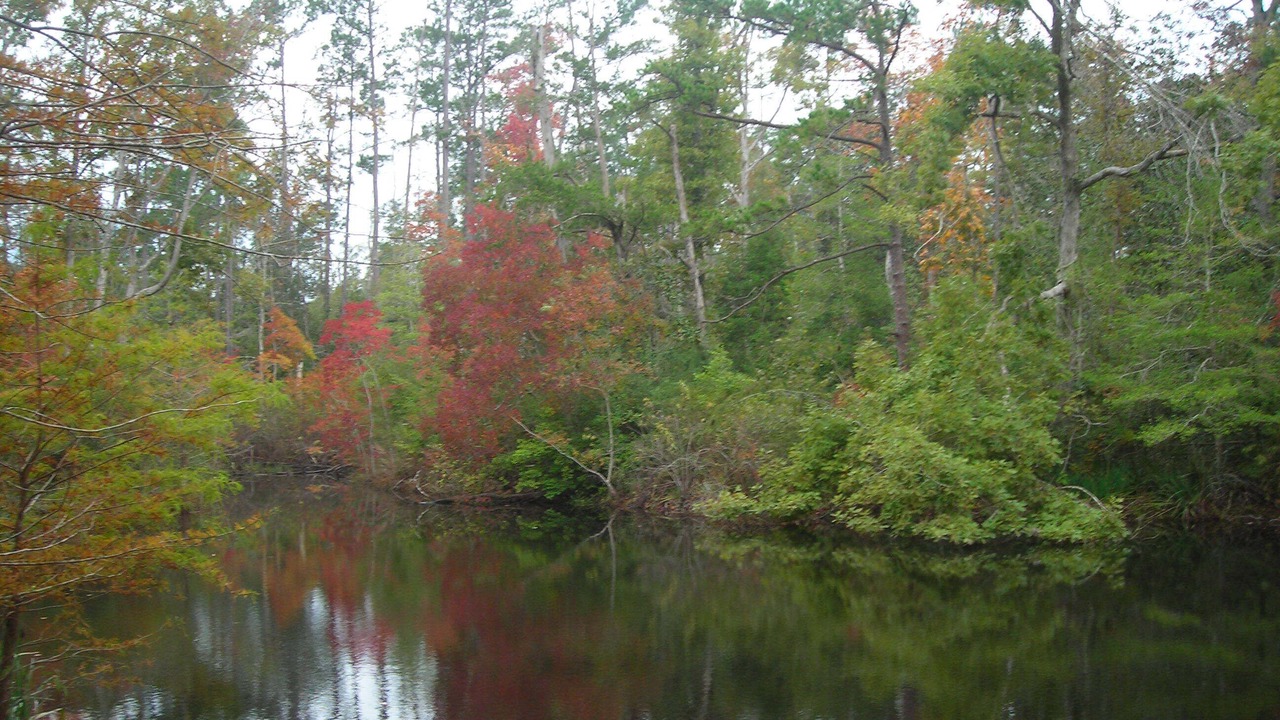Photo of Others in Kountze