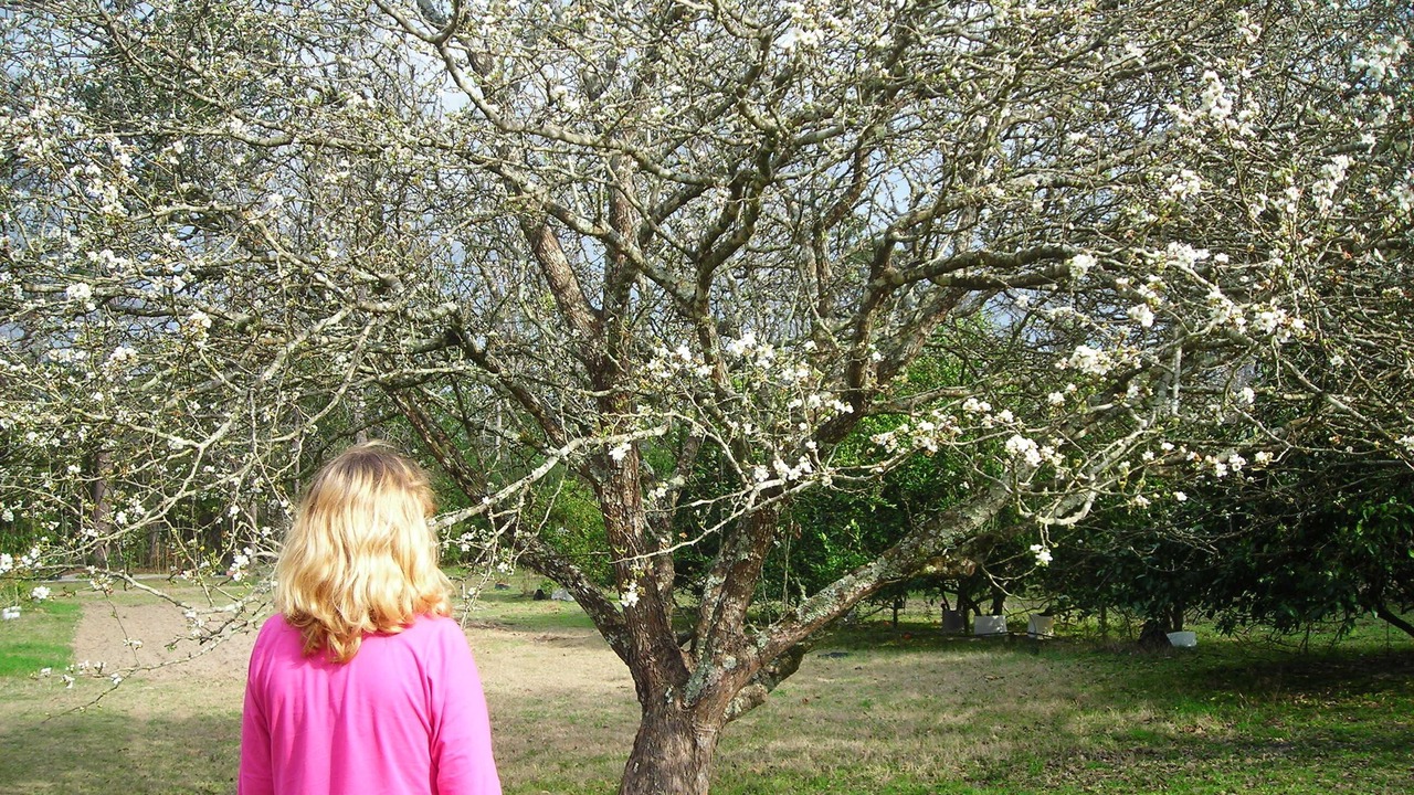 Photo of Others in Kountze