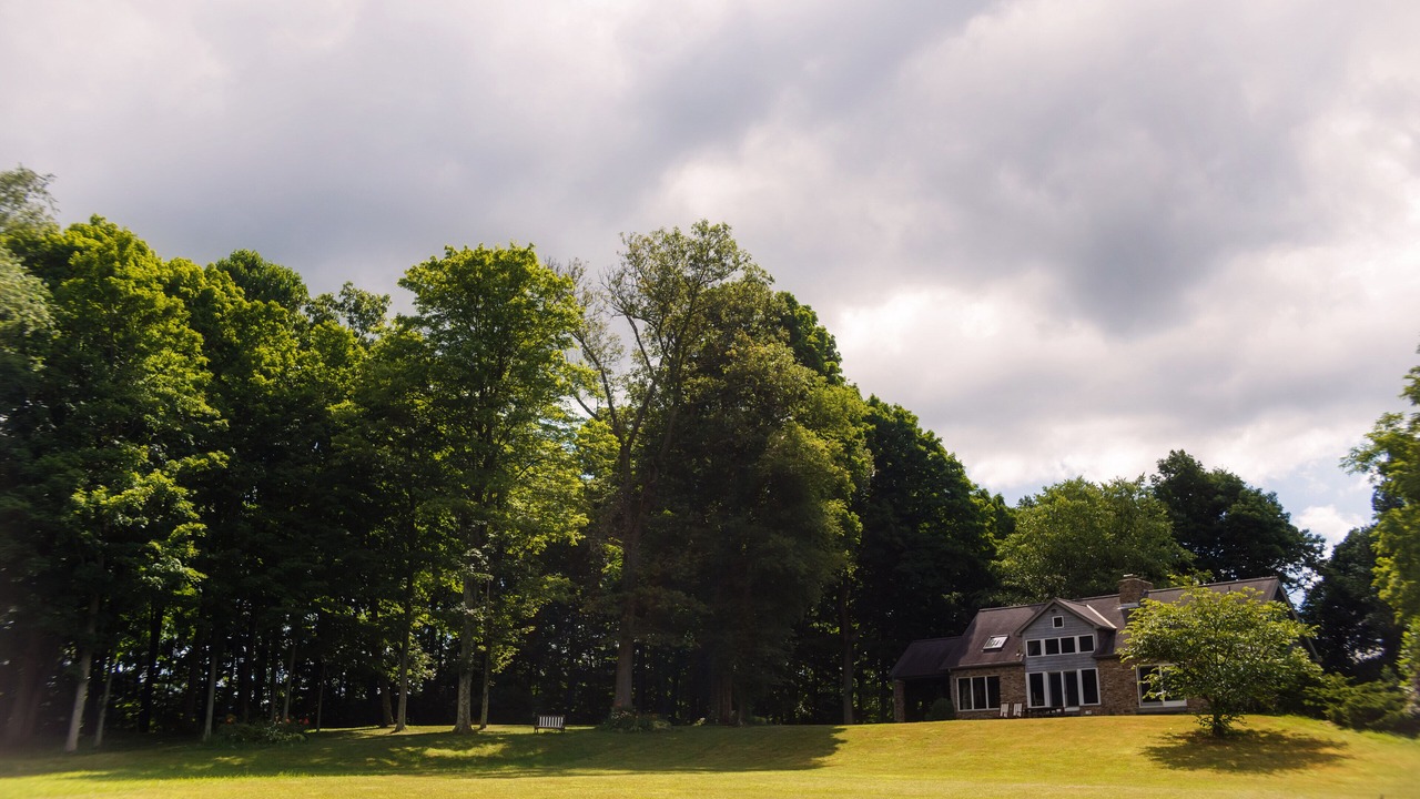 Photo of Others in Mill Run
