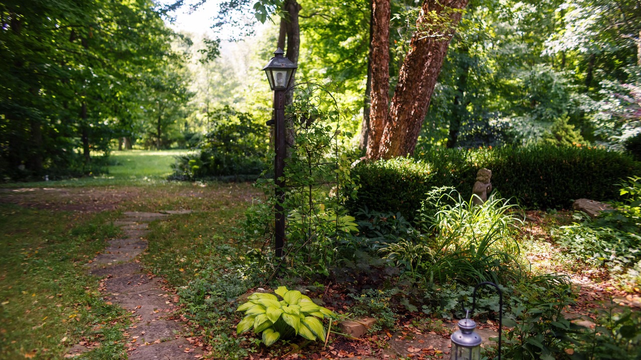 Photo of Others in Mill Run