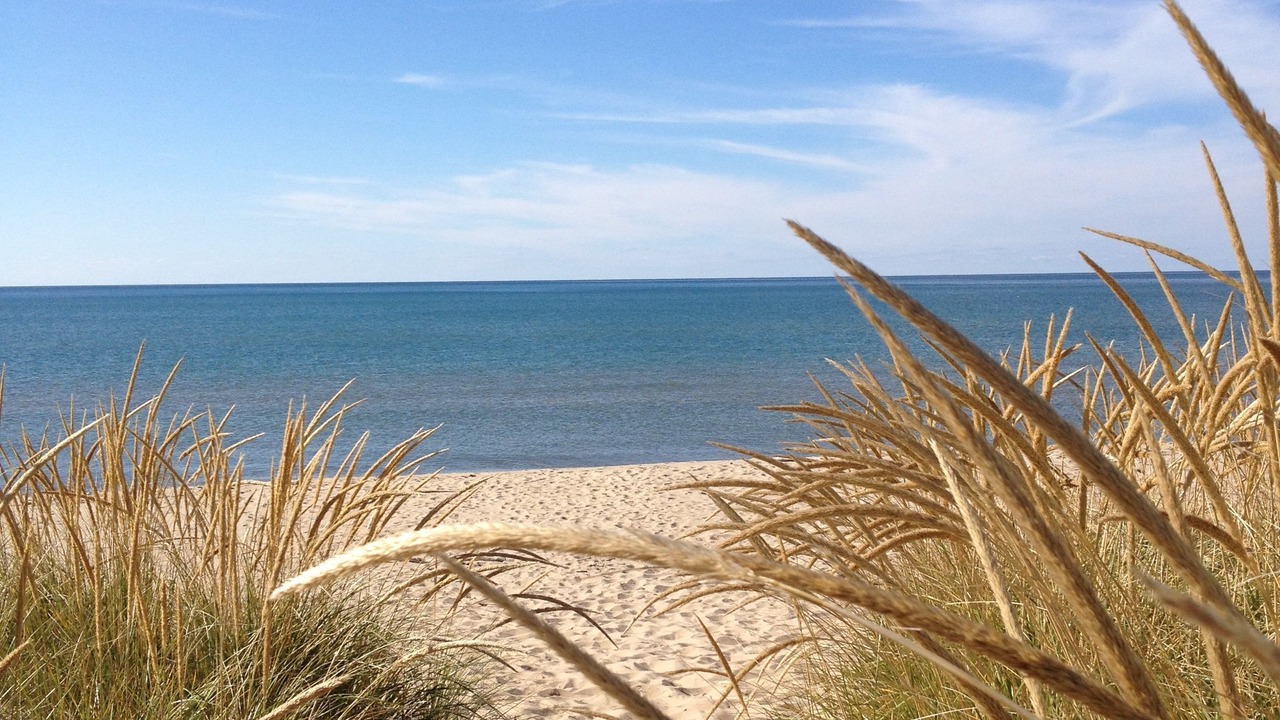 Photo of Others in Saugatuck