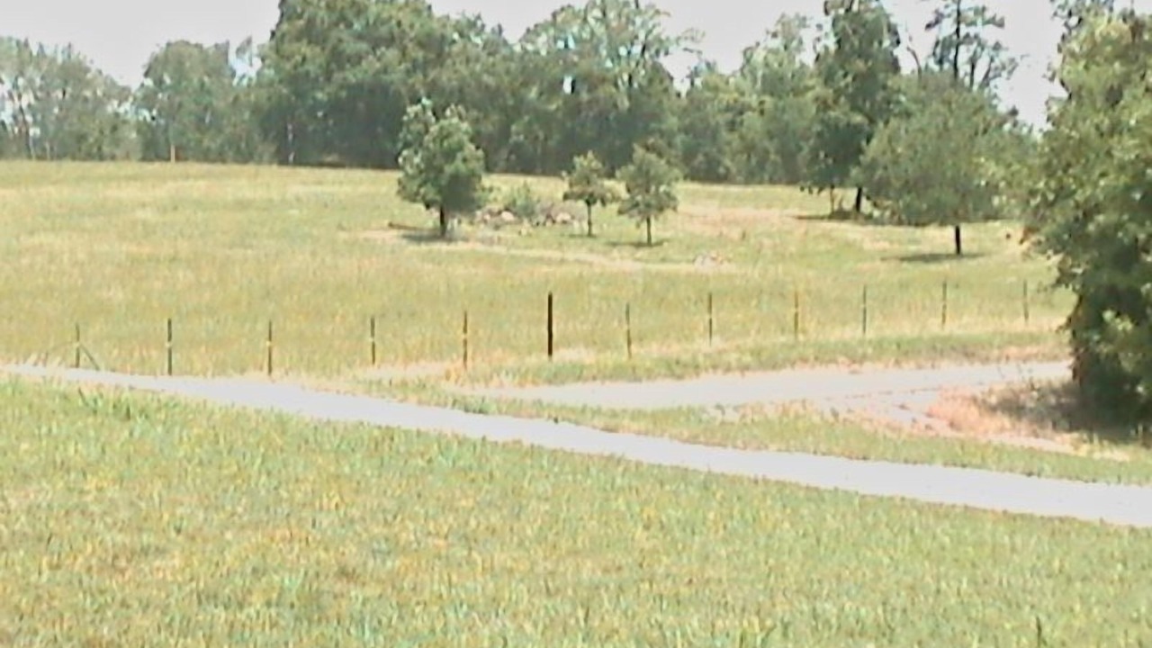 Photo of Others in Collinsville