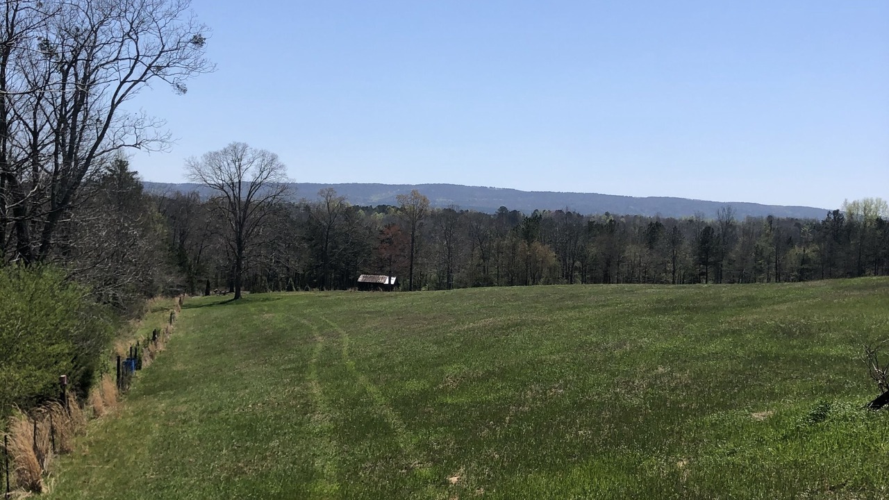 Photo of Others in Collinsville