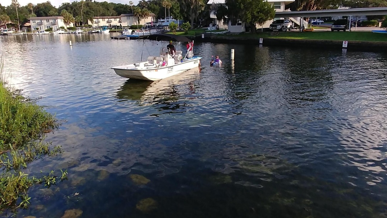 Photo of Others in Homosassa