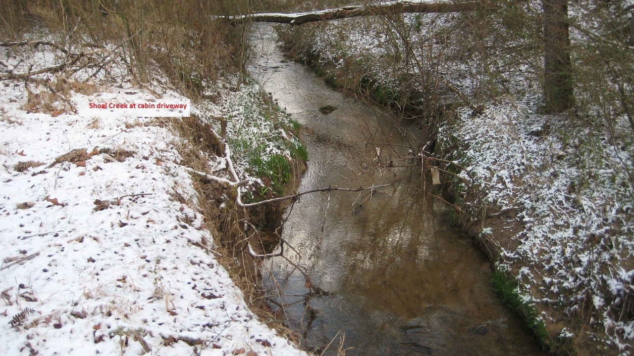 Photo of Others in Qualla