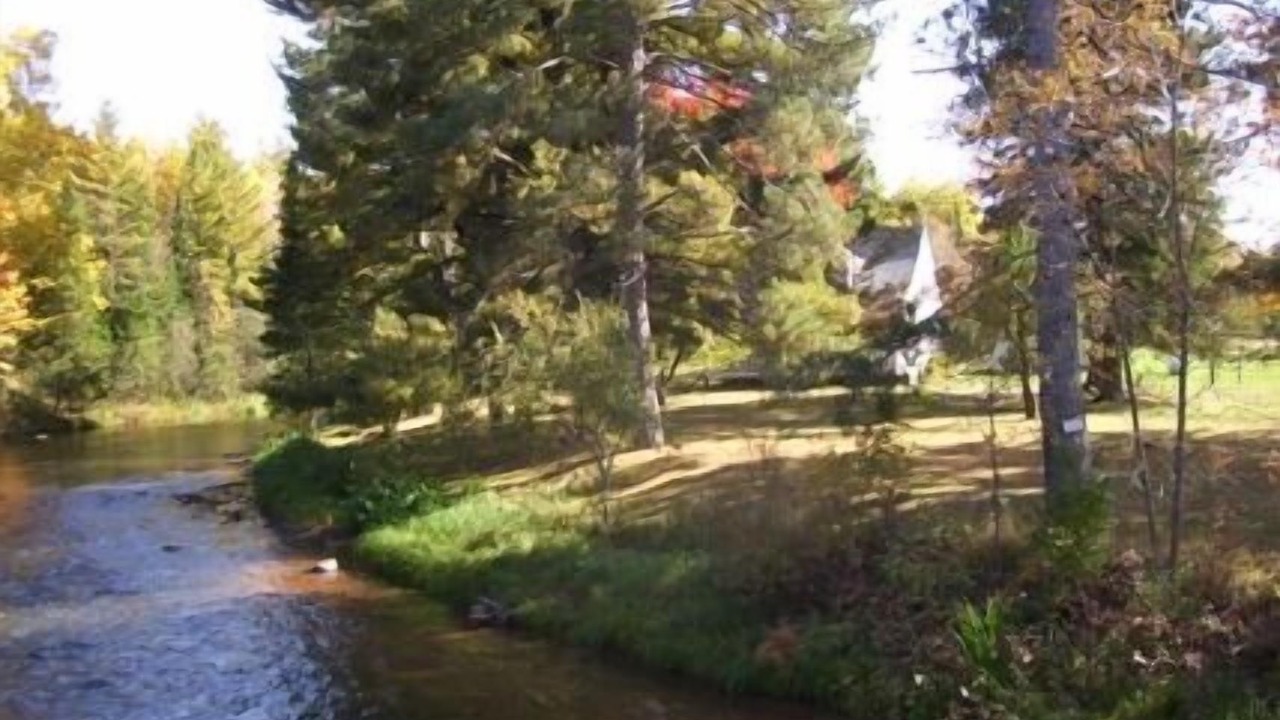Photo of Outdoor in Maple