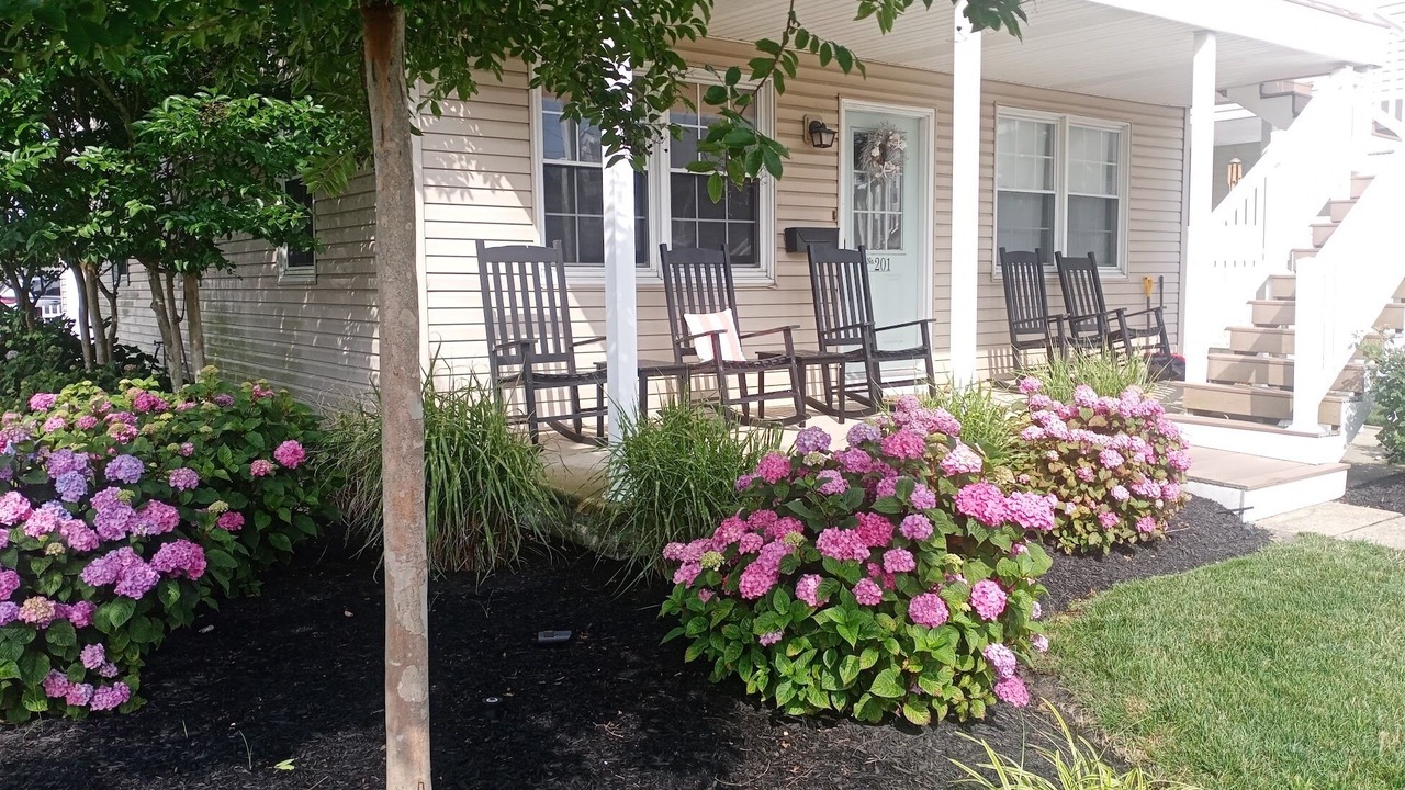 Photo of Outdoor in Brigantine