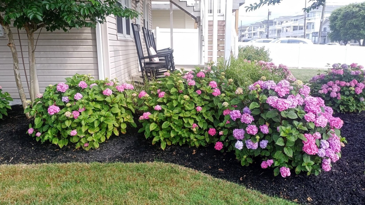 Photo of Outdoor in Brigantine