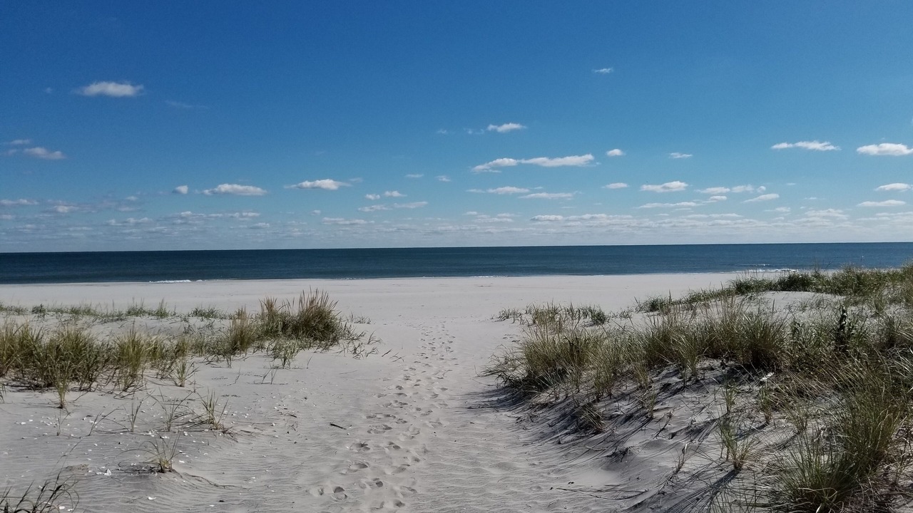 Photo of Others in Brigantine