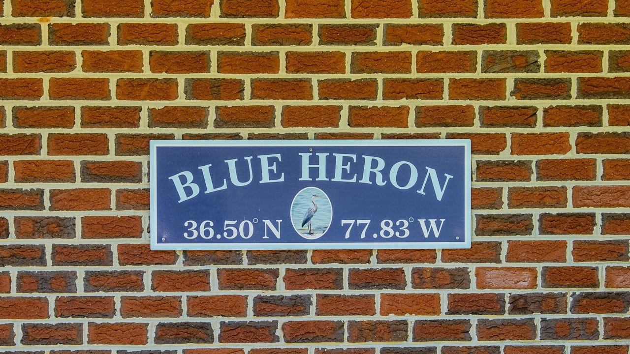 Photo of Outdoor in Henrico