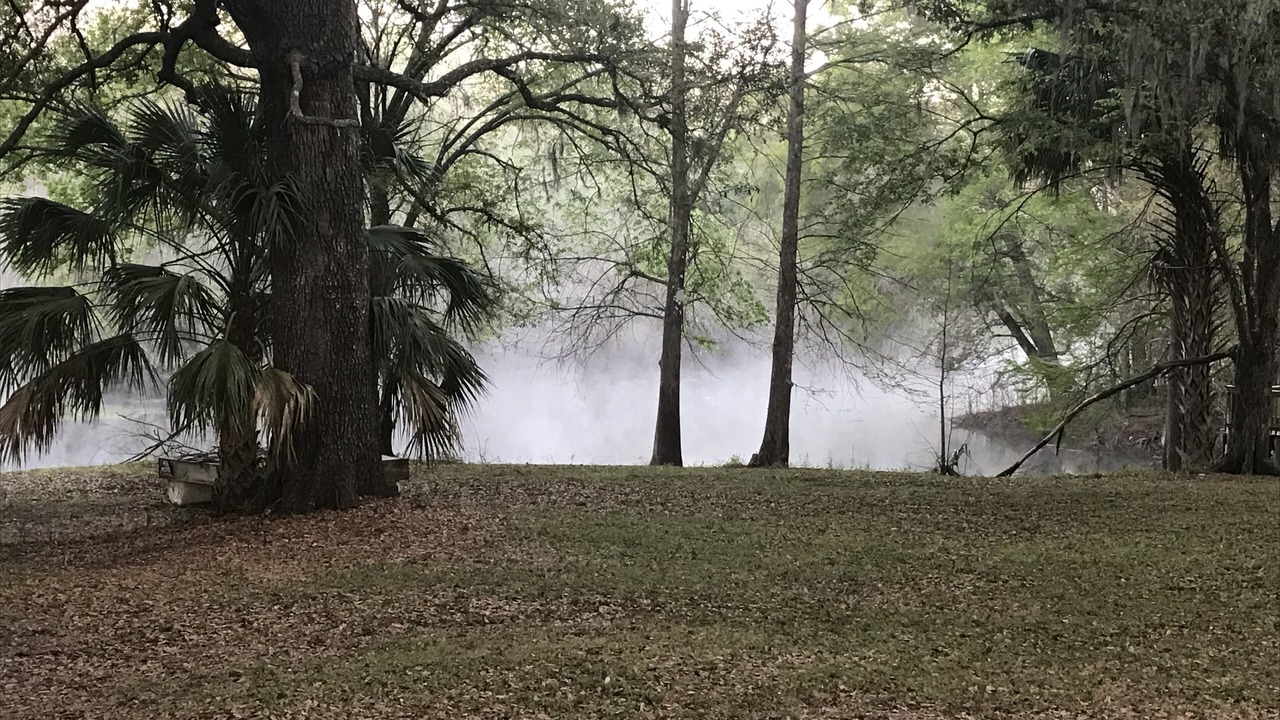 Photo of Others in Fanning Springs