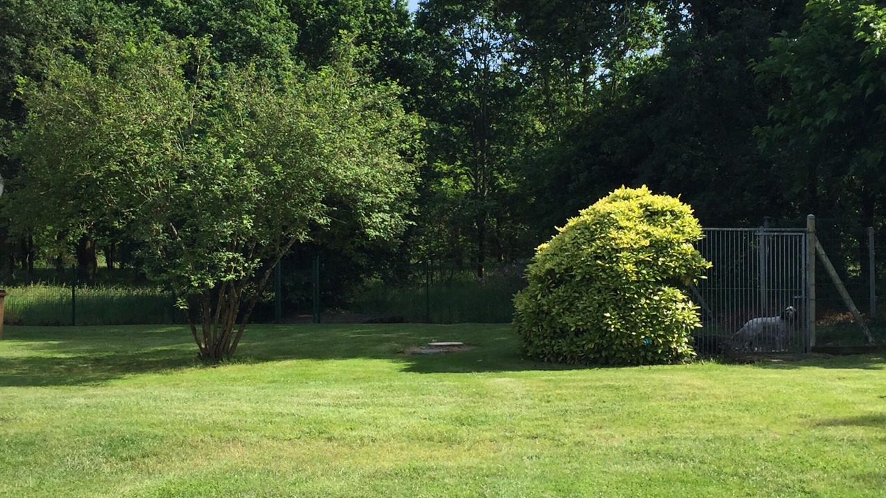 Photo of Outdoor in Vensac