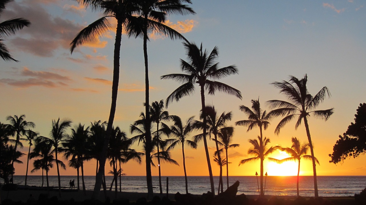 Photo of Others in Kamuela