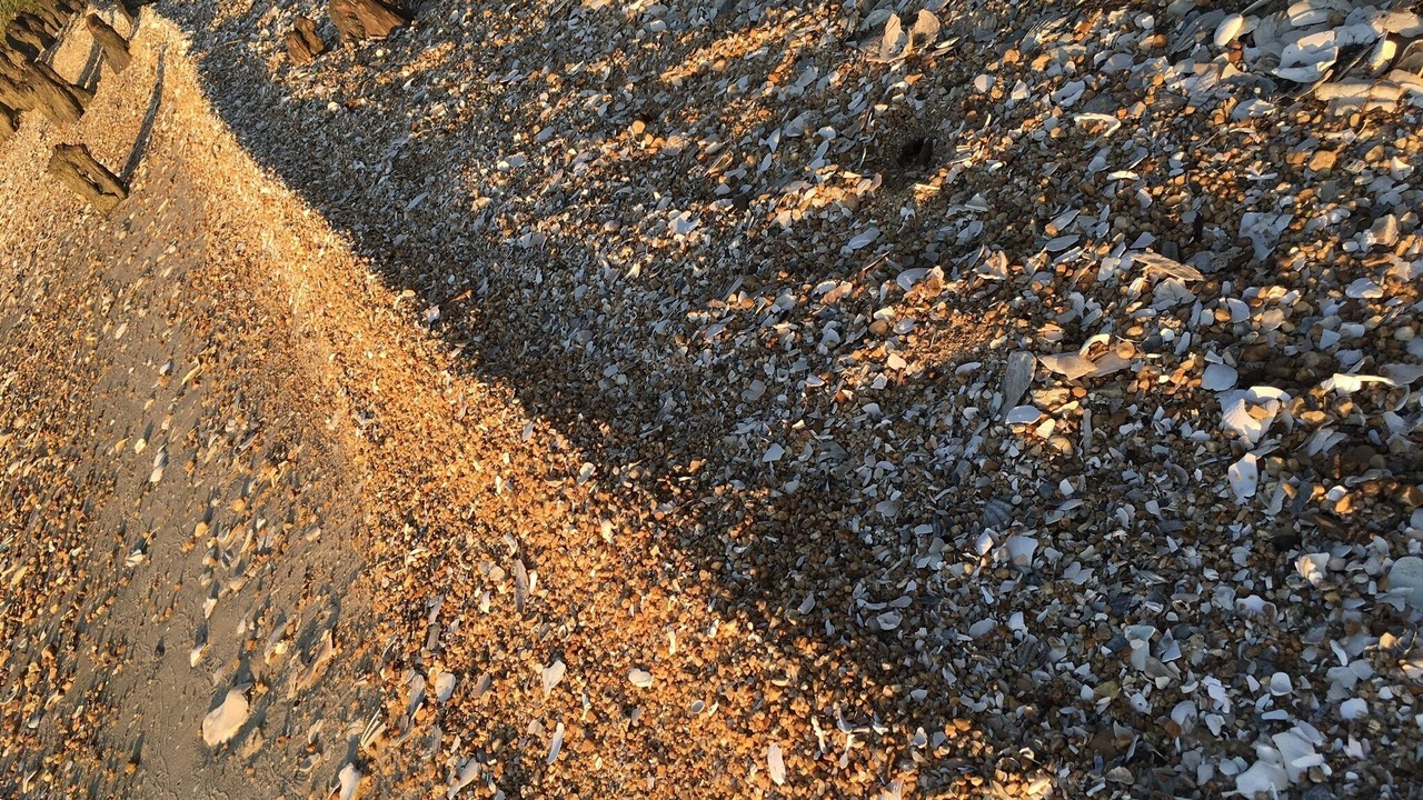 Photo of Others in Spring Grove