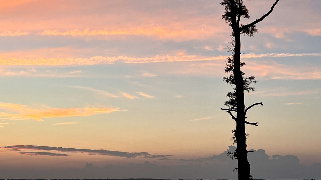 Photo of Others in Spring Grove