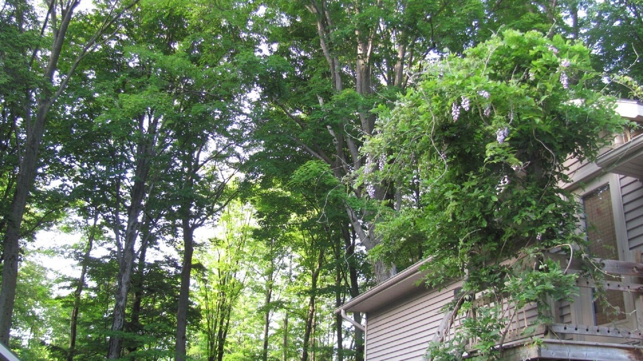 Photo of Others in Saugeen 29