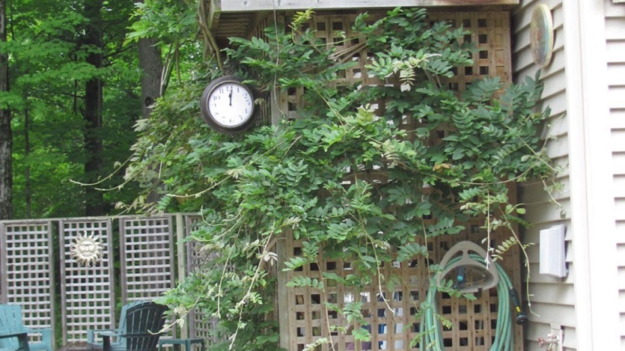 Photo of Others in Saugeen 29