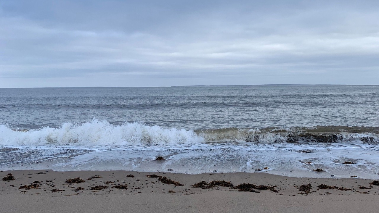 Photo of Others in Trenton