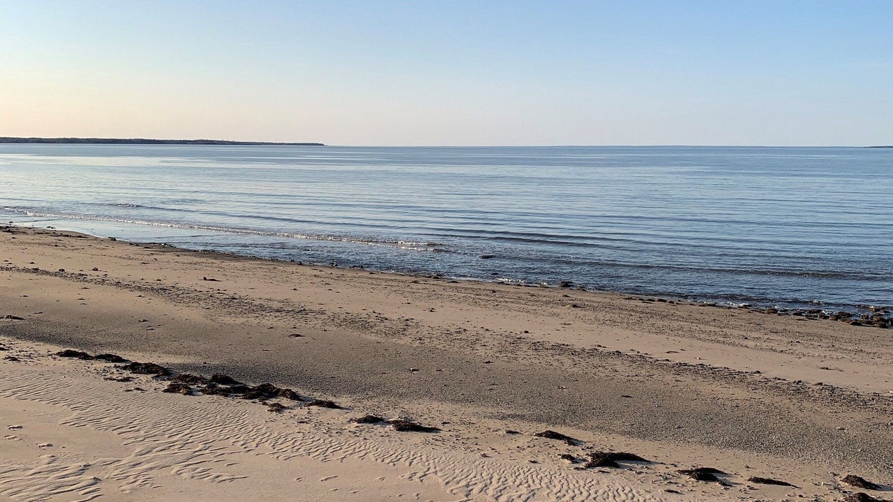 Photo of Others in Trenton