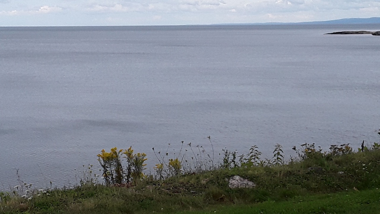 Photo of Others in Trenton