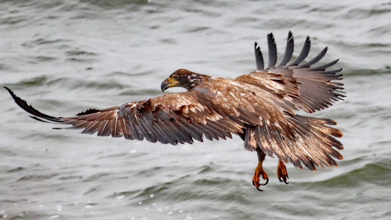 Photo of Others in Trenton