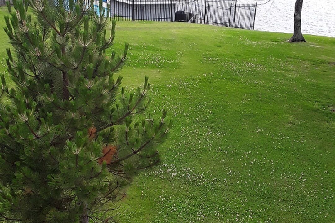 Photo of Outdoor in Trenton