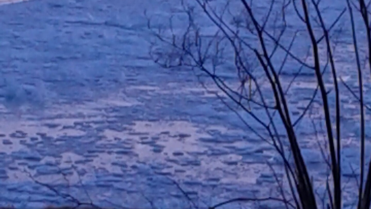 Photo of Others in Trenton