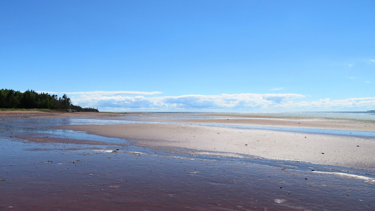 Photo of Others in Belle River