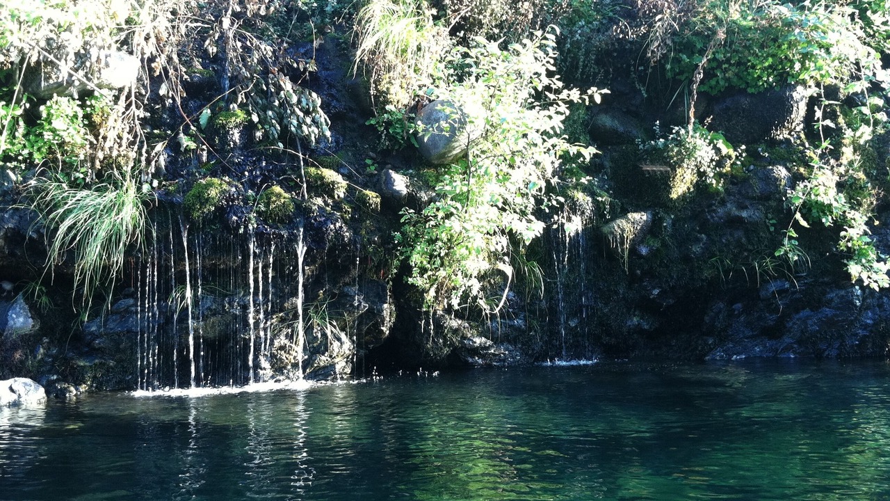 Photo of Others in Gasquet