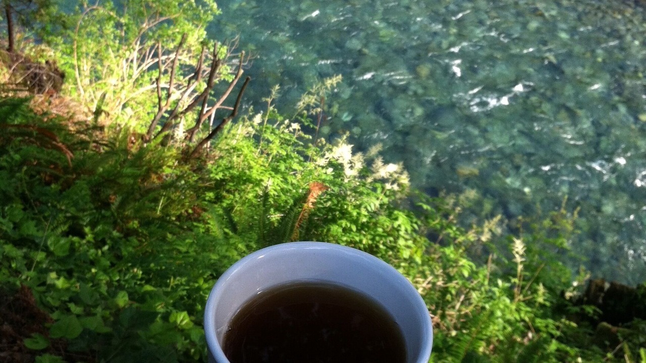 Photo of Others in Gasquet