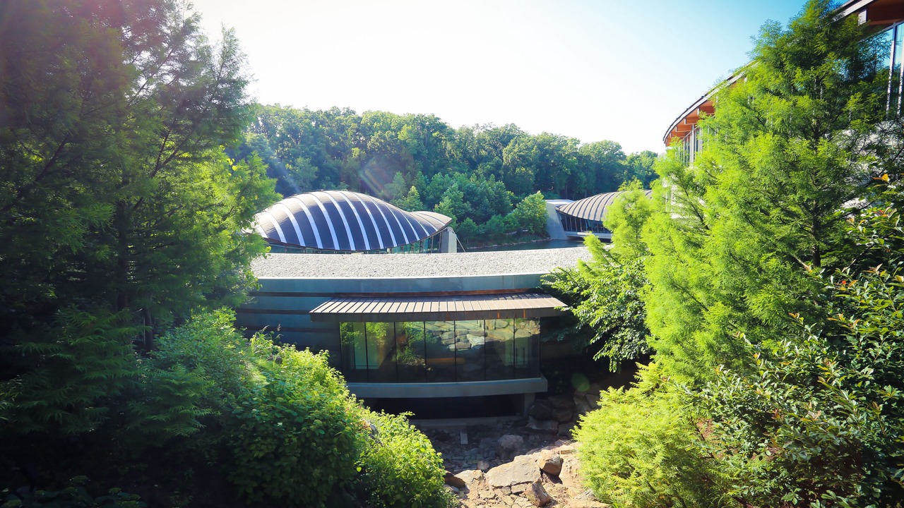 Photo of Others in Downtown