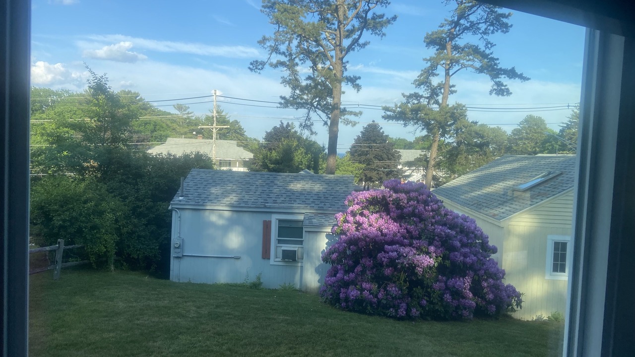 Photo of Others in Ogunquit