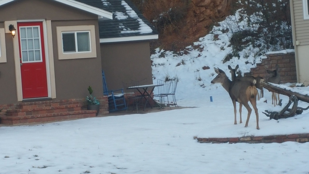 Photo of Outdoor in Green Mountain Falls