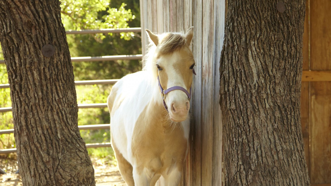 Photo of Outdoor in Fredericksburg