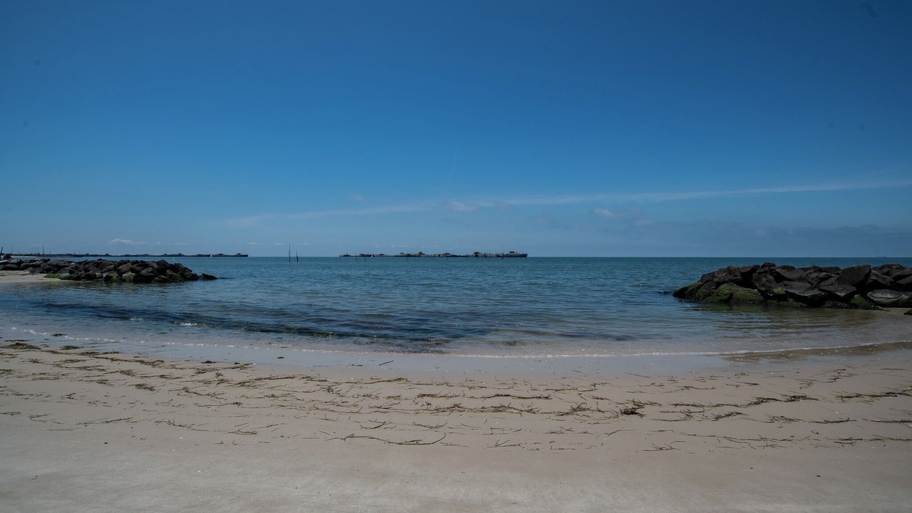 Photo of Others in Cape Charles