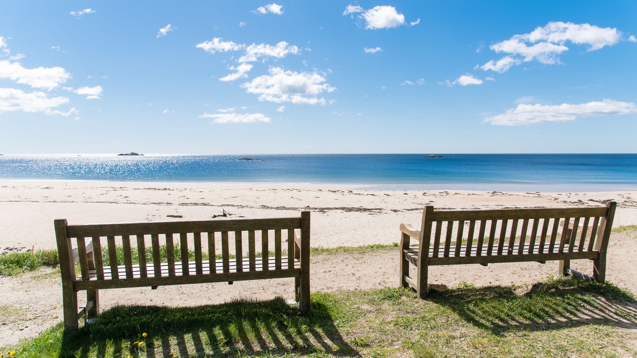 Photo of Others in Manchester-by-the-Sea