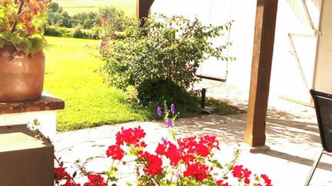 Photo of Outdoor in Lannes