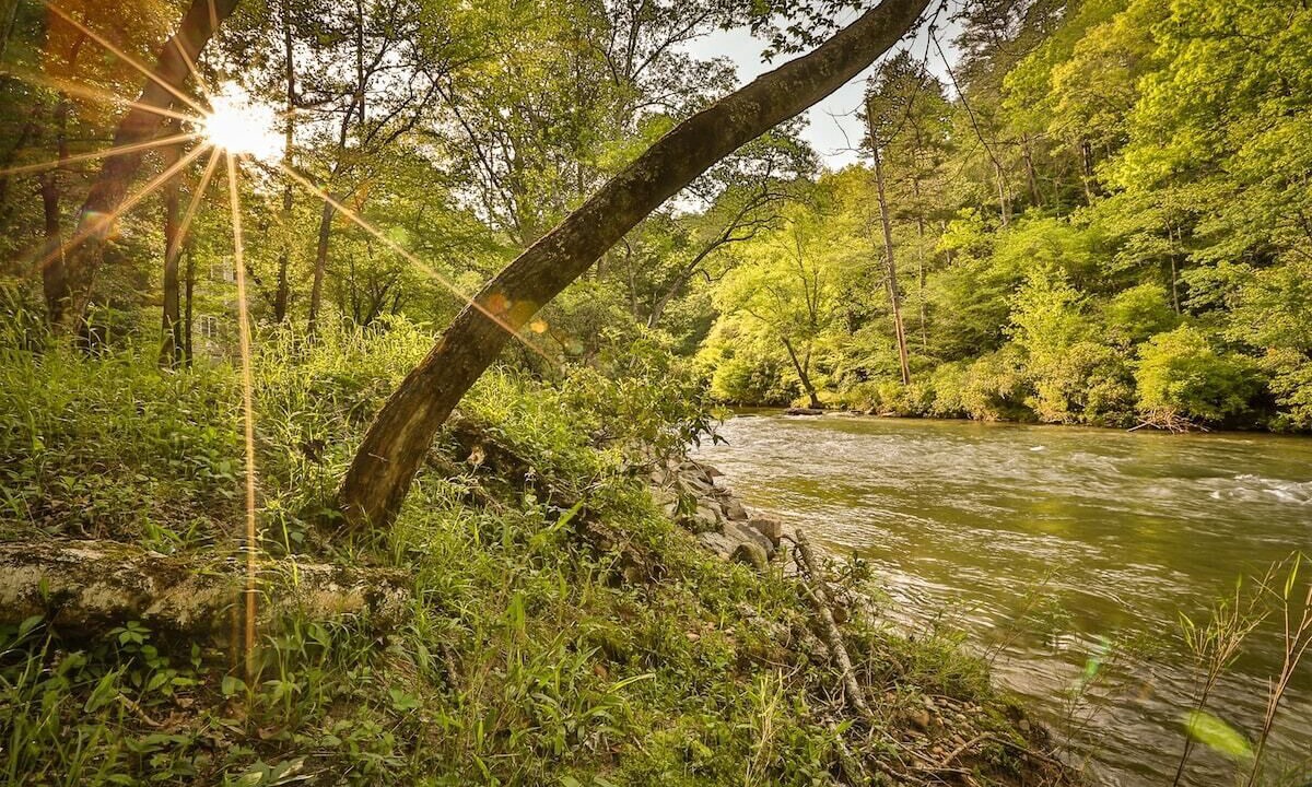 Photo of Others in East Ellijay