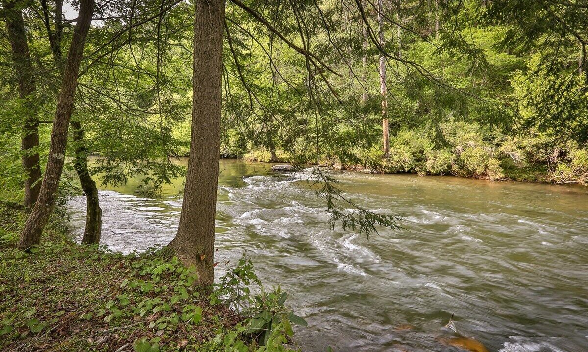 Photo of Others in East Ellijay