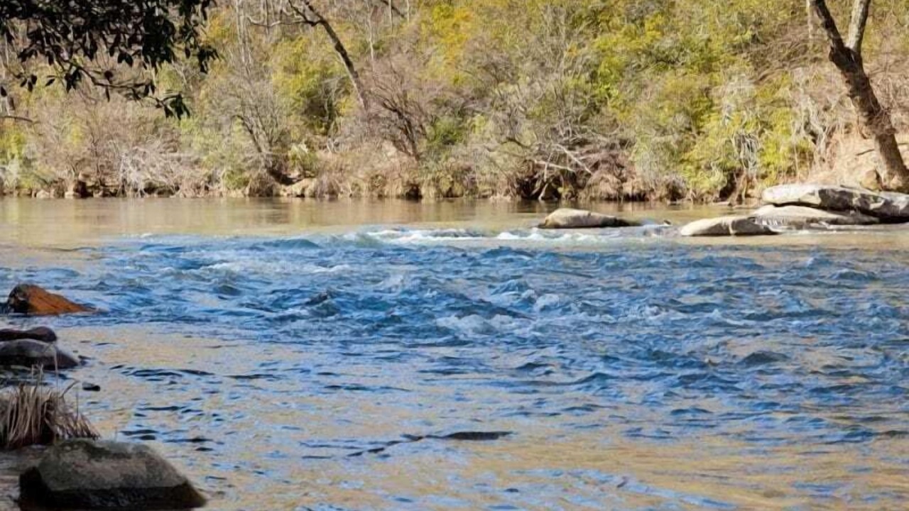 Photo of Others in East Ellijay