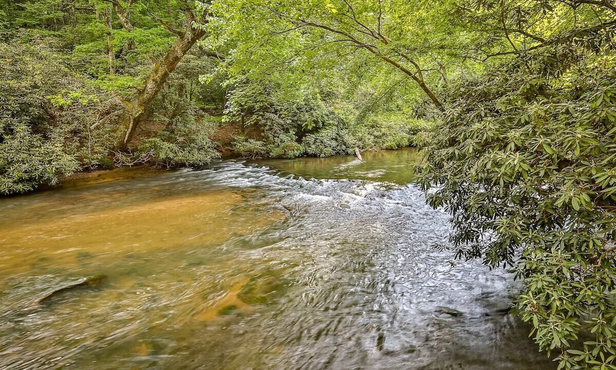 Photo of Others in Ellijay