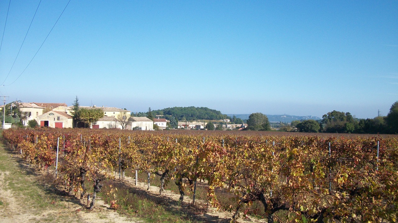 Photo of Outdoor in Sabran
