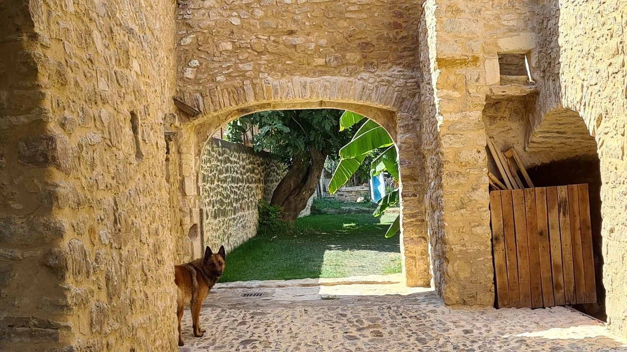 Photo of Outdoor in Sabran