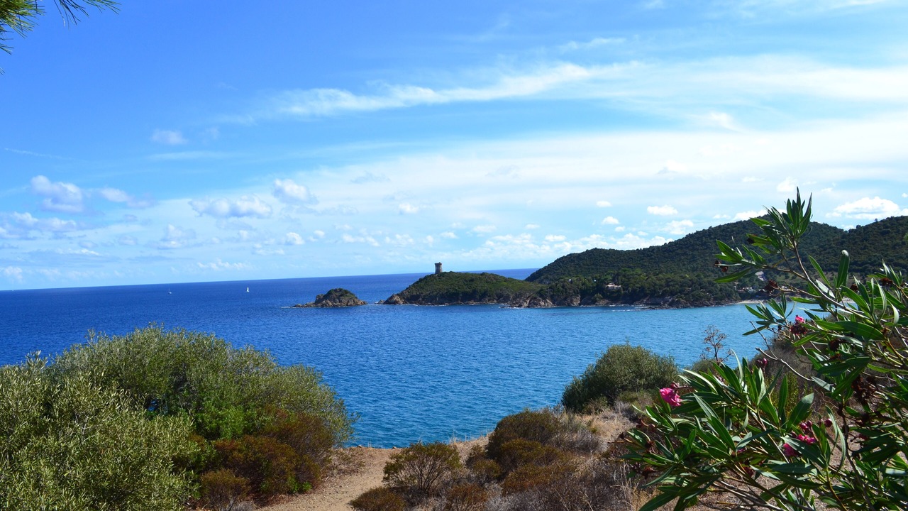 Photo of Others in Omessa