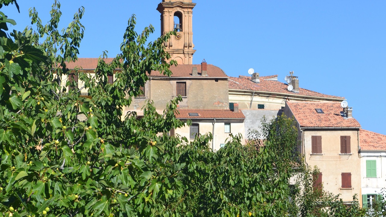 Photo of Outdoor in Omessa