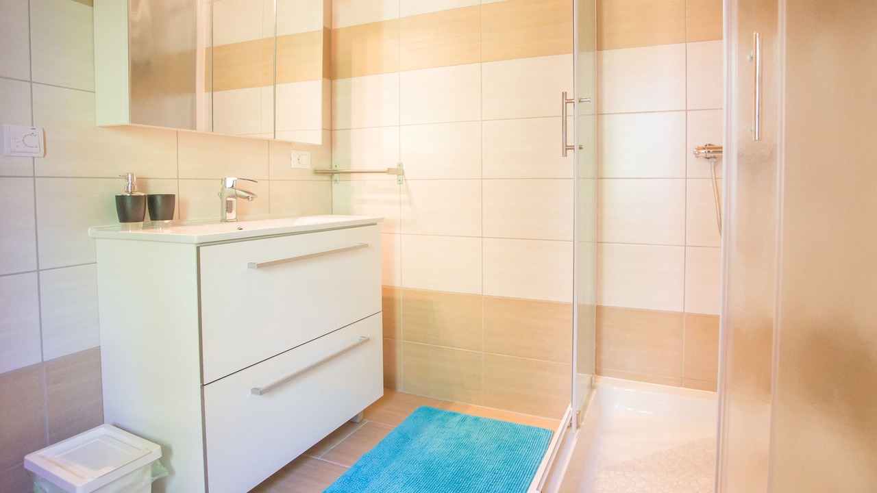 Photo of Bathroom in Medvidici