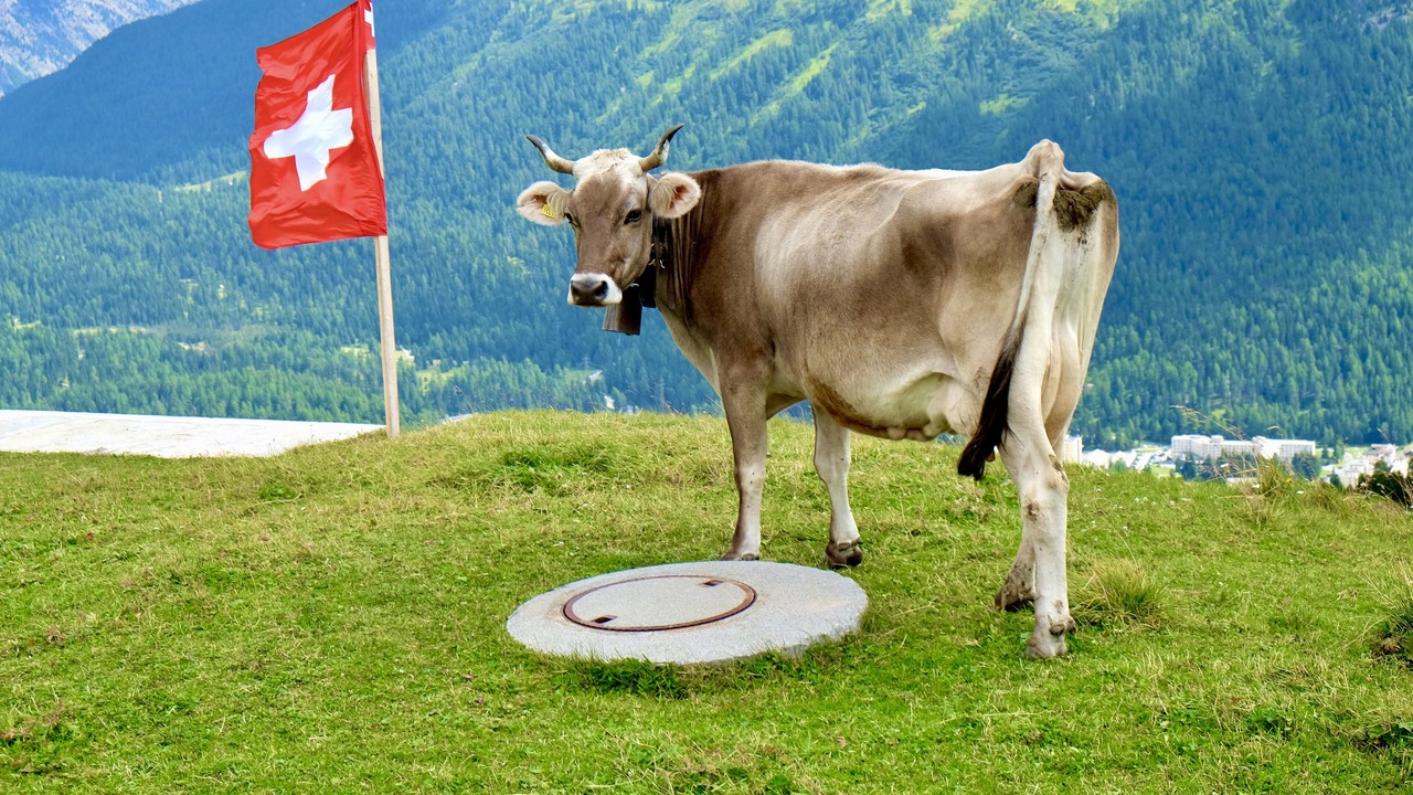Photo of Outdoor in Oberhofen am Thunersee